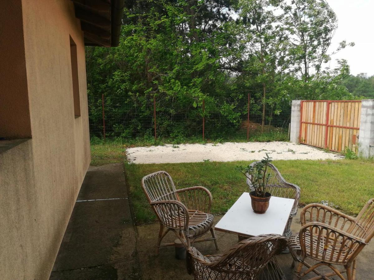 Vizaknai Apartmanhaz Szekesfehervar Luaran gambar